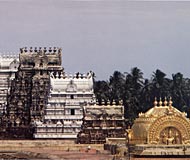 sri rangam gopurams