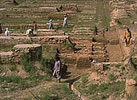 Harappan Archaeological Site