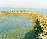 dvaraka sea wall