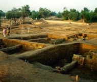 harappa trench