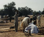 harappa excavation