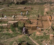 Harappa City site