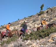 Trail on horseback