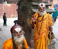 hindu sadhus